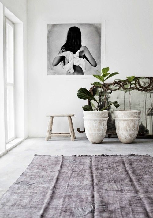 Botanica StC column planten gezond in huis rust styling Botanica StC column planten gezond in huis rust styling